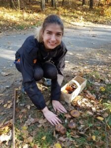 Hunting for mushrooms: A popular Polish pastime Excited about 'shrooms!
