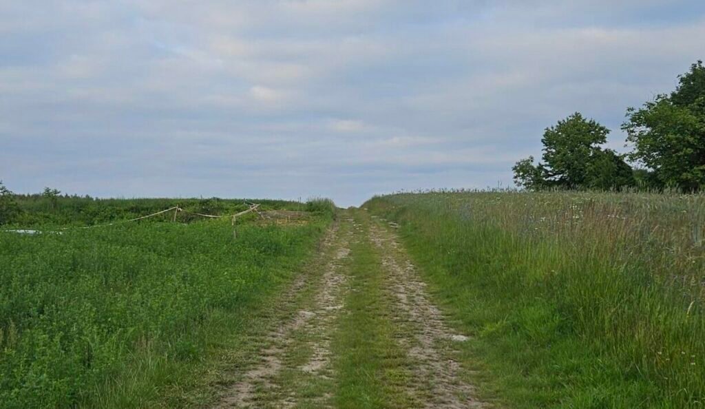 An image showing a dirt road on an open field