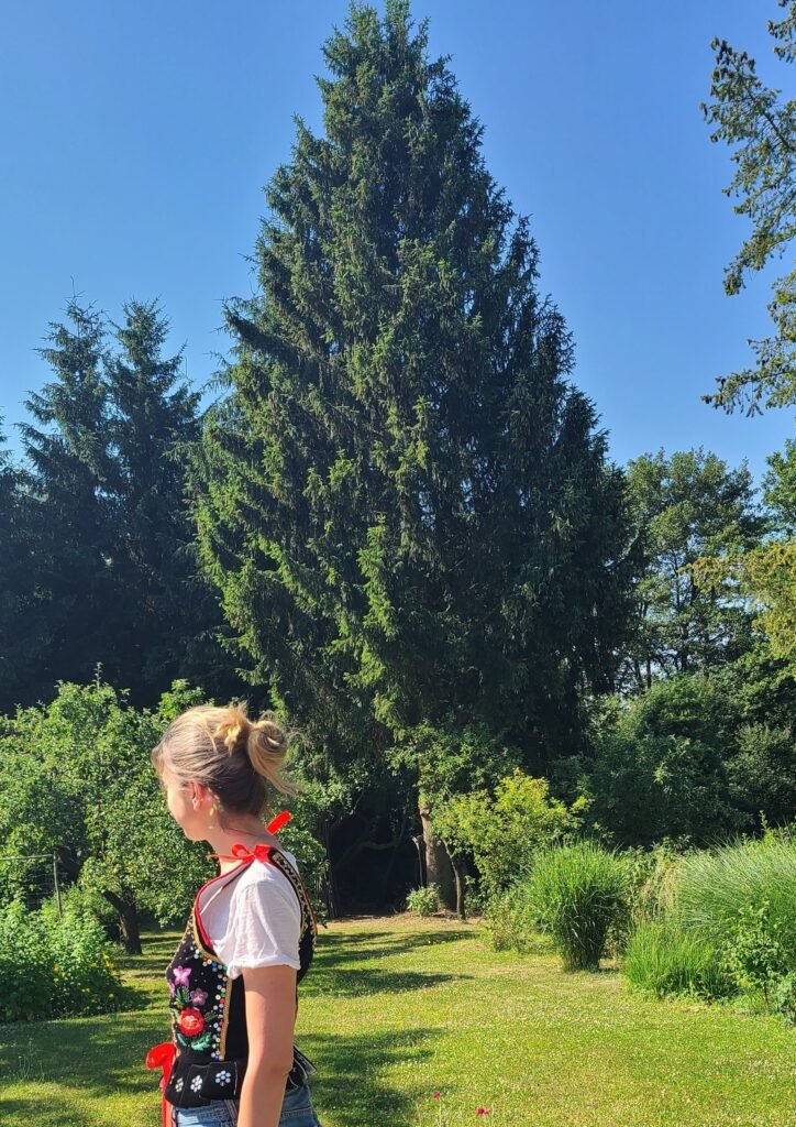 20220628 092202 edit