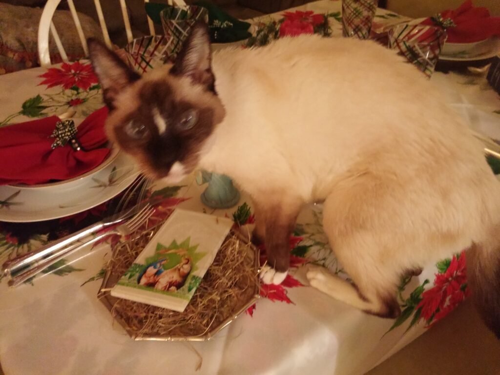 Zuzia on the Wigilia table