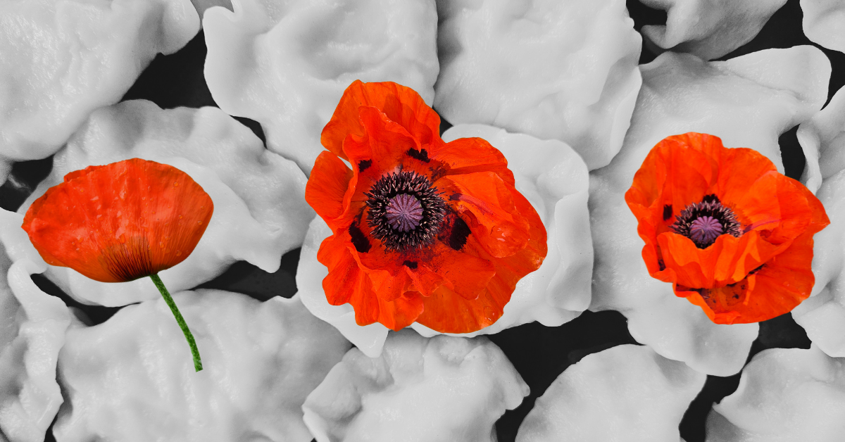Home Photos of vibrant red poppies overlayed on a black and white photo of pierogi